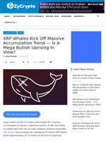 XRP Whales Kick Off Massive Accumulation Trend — Is A Mega Bullish Uprising In View? ⋆ ZyCrypto