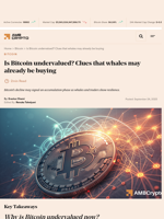 Is Bitcoin undervalued? Clues that whales may already be buying - AMBCrypto