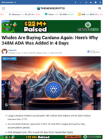 Whales Are Buying Cardano Again: Here’s Why 348M ADA Was Added in 4 Days