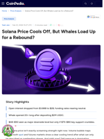 Solana Price Cools Off, But Whales Load Up for a Rebound?