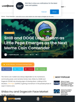 SHIB and DOGE Lose Steam as Little Pepe Emerges as the Next Meme Coin Contender | Live Bitcoin News