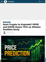 Next Crypto to Explode? PEPE and DOGE Down 75% as Whales Position Early - TechBullion