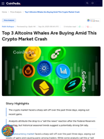 Top 3 Altcoins Whales Are Buying Amid This Crypto Market Crash