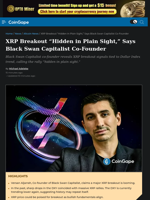 XRP Breakout “Hidden in Plain Sight,” Says Black Swan Capitalist Co-Founder