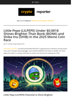 Little Pepe (LILPEPE) Under $0.0018 Shines Brighter Than Bonk (BONK) and Shiba Inu (SHIB) in the 2025 Meme Coin Race