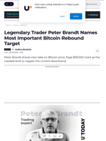 Legendary Trader Peter Brandt Names Most Important Bitcoin Rebound Target - U.Today