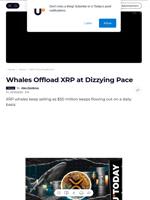 Whales Offload XRP at Dizzying Pace  - U.Today