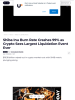 Shiba Inu Burn Rate Crashes 99% as Crypto Sees Largest Liquidation Event Ever - U.Today