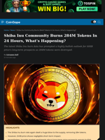 Shiba Inu Community Burns 284M Tokens In 24 Hours, What's Happening?