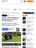 Here’s Why Bitcoin Is Rallying Just Before Thanksgiving – Markets and Prices Bitcoin News