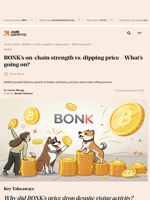 BONK’s on-chain strength vs. dipping price - What's going on? - AMBCrypto