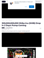 300,000,000,000 Shiba Inu (SHIB) Drop in 2 Days: Pump Coming - U.Today