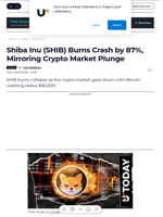 Shiba Inu (SHIB) Burns Crash by 87%, Mirroring Crypto Market Plunge - U.Today