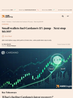 Small wallets fuel Cardano’s 11% jump – Next stop $0.99? - AMBCrypto