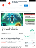 Cardano (ADA) and Dogecoin (DOGE) Whales Jump Into New Presale! - NullTX