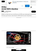 Shiba Inu Pulled Zero Burn Activity Amid 100% Decline - U.Today