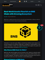 Real-World Assets Flourish on BNB Chain with Growing Ecosystem - Blockchain.News