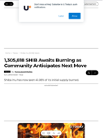 1,305,818 SHIB Awaits Burning as Community Anticipates Next Move - U.Today