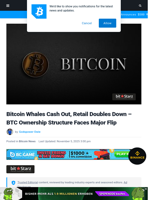 Bitcoin Whales Cash Out, Retail Doubles Down - BTC Ownership Structure Faces Major Flip | Bitcoinist.com