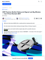 New Whale Data Shows Next XRP Price Move