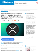 Whales Snap Up 200 Million XRP in 2 Weeks, Signaling Renewed Market Confidence ⋆ ZyCrypto