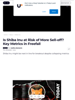 Is Shiba Inu at Risk of More Sell-off? Key Metrics in Freefall - U.Today