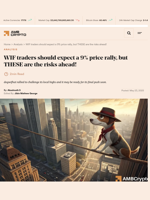 WIF traders should expect a 9% price rally, but THESE are the risks ahead! - AMBCrypto