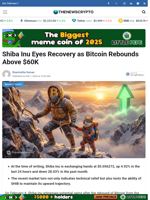 Shiba Inu Eyes Recovery as Bitcoin Rebounds Above $60K